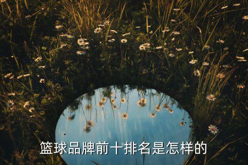 篮球品牌前十排名是怎样的