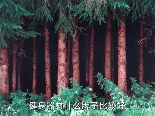 健身器材什么牌子比较好
