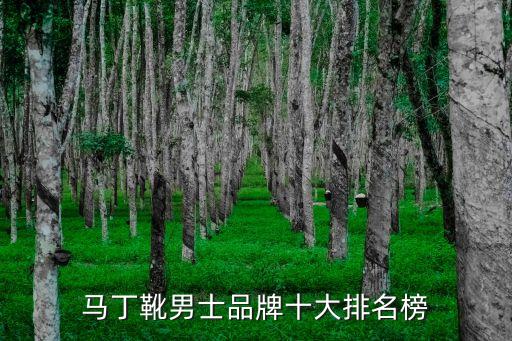 马丁靴男士品牌十大排名榜