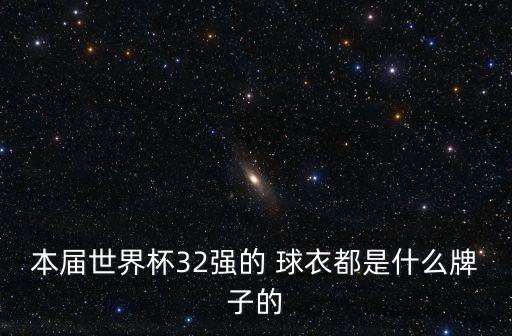 本届世界杯32强的 球衣都是什么牌子的