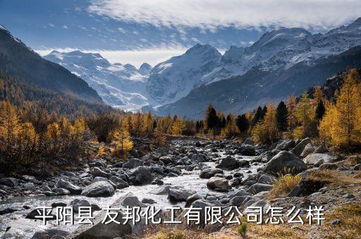 平阳县 友邦化工有限公司怎么样