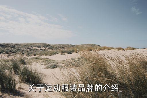 关于运动服装品牌的介绍