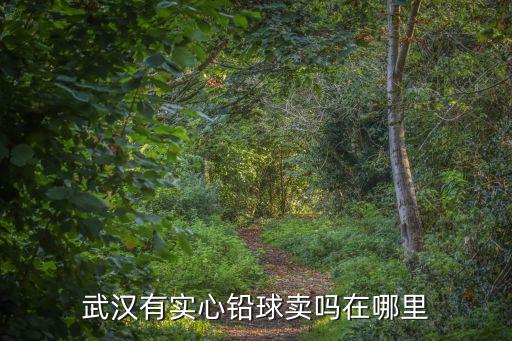 武汉有实心铅球卖吗在哪里