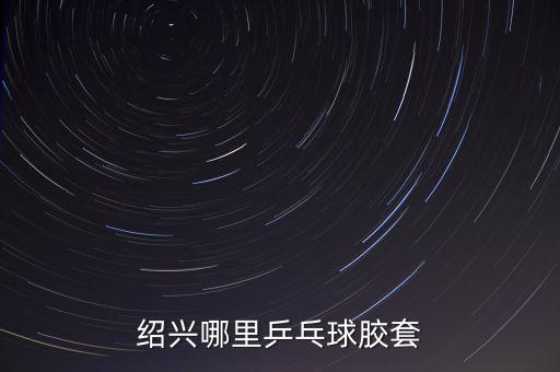 绍兴哪里乒乓球胶套