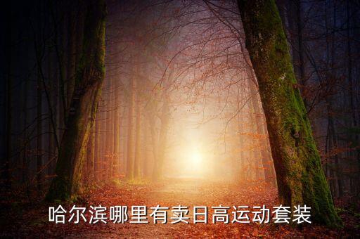 哈尔滨哪里有卖日高运动套装