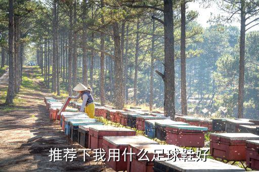推荐下我用什么足球鞋好