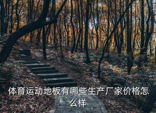  体育运动地板有哪些生产厂家价格怎么样