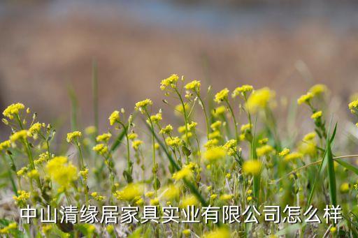  中山清缘居家具实业有限公司怎么样