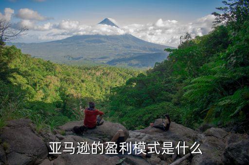  亚马逊的盈利模式是什么