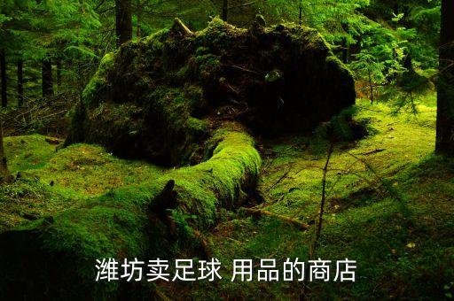 潍坊卖足球 用品的商店