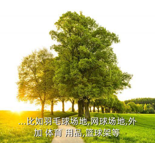 ...比如羽毛球场地,网球场地,外加 体育 用品,篮球架等