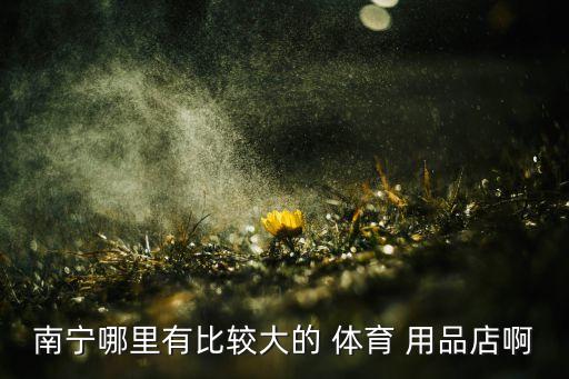 南宁哪里有比较大的 体育 用品店啊