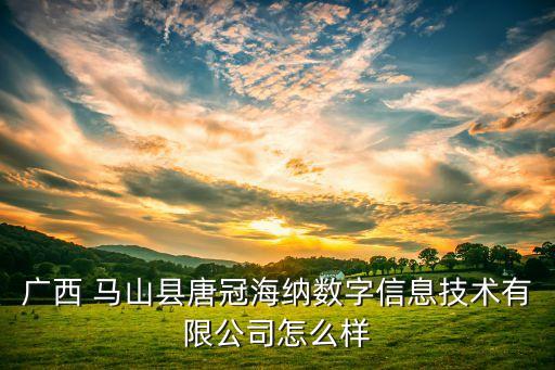 广西 马山县唐冠海纳数字信息技术有限公司怎么样