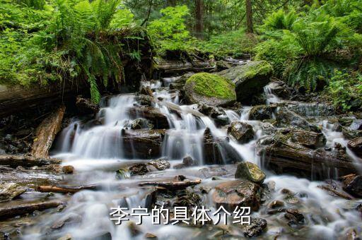 李宁的具体介绍