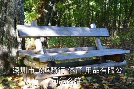  深圳市飞鸿骑行 体育 用品有限公司怎么样