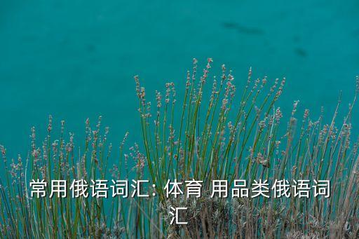 收集体育用品单词,tall变成体育用品单词