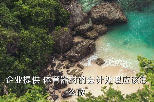 企业提供 体育器材的会计处理应该怎么做