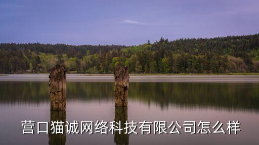  营口猫诚网络科技有限公司怎么样