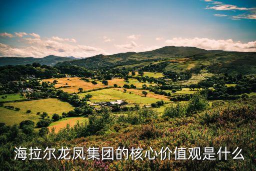  海拉尔龙凤集团的核心价值观是什么