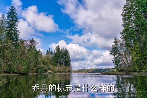 乔丹的标志是什么样的