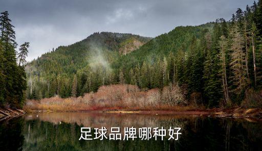 足球品牌哪种好