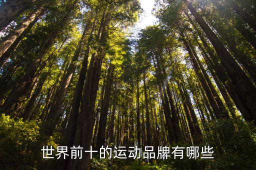 世界前十的运动品牌有哪些