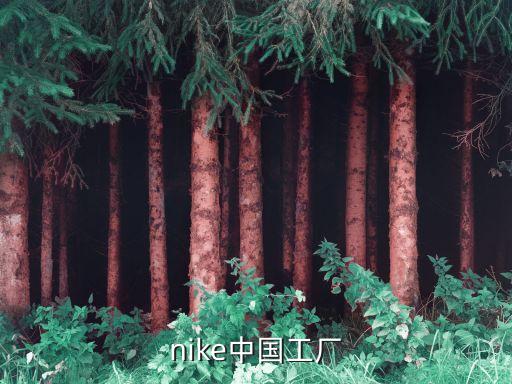 nike中国工厂