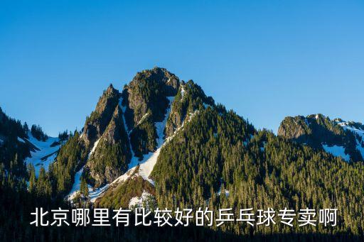  北京哪里有比较好的乒乓球专卖啊