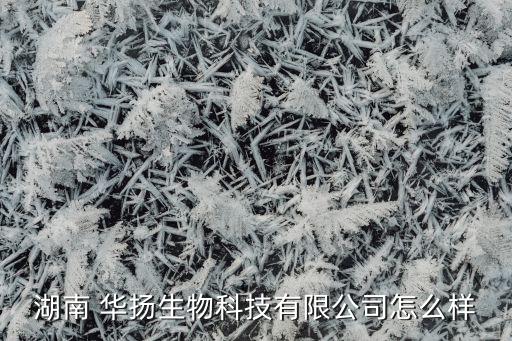 湖南 华扬生物科技有限公司怎么样
