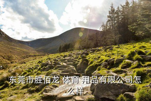 东莞市胜佰龙 体育 用品有限公司怎么样