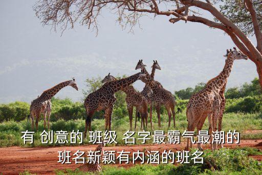 有 创意的 班级 名字最霸气最潮的班名新颖有内涵的班名