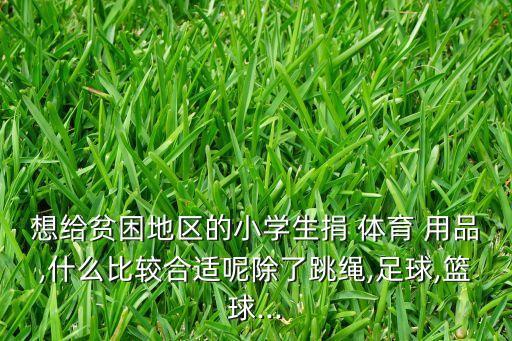 想给贫困地区的小学生捐 体育 用品,什么比较合适呢除了跳绳,足球,篮球...