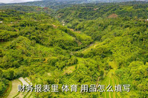财务报表里 体育 用品怎么填写