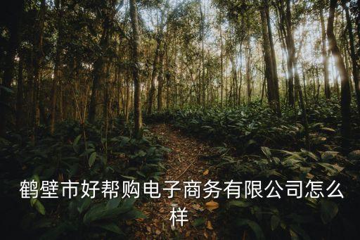  鹤壁市好帮购电子商务有限公司怎么样