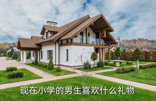 现在小学的男生喜欢什么礼物