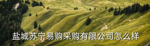  盐城苏宁易购采购有限公司怎么样