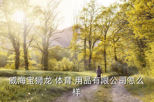 体育用品小配件生产,a公司是一家生产体育用品的企业