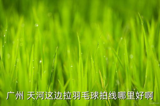 广州 天河这边拉羽毛球拍线哪里好啊