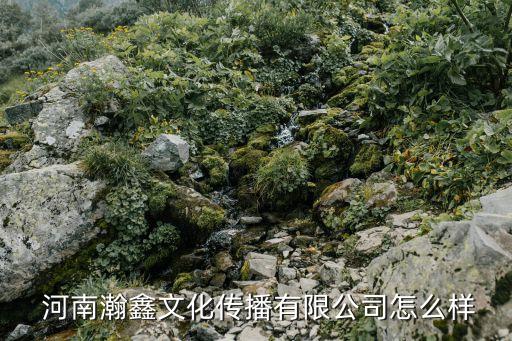  河南瀚鑫文化传播有限公司怎么样