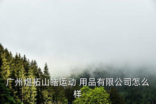 广州煜拓山皓运动 用品有限公司怎么样