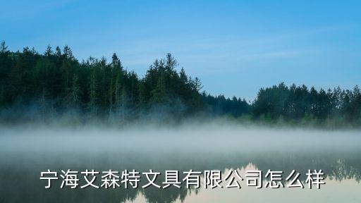  宁海艾森特文具有限公司怎么样