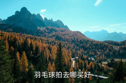 羽中体育用品,体育用品创业计划书