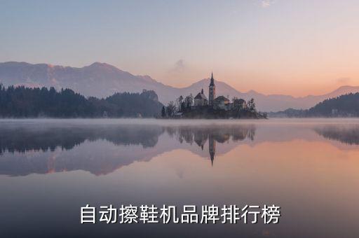 自动擦鞋机品牌排行榜