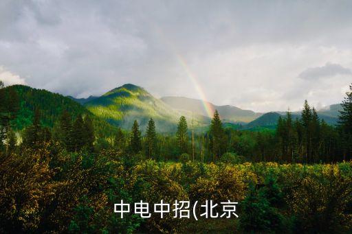 中电中招(北京