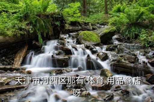  天津市河西区那有 体育 用品商店呀
