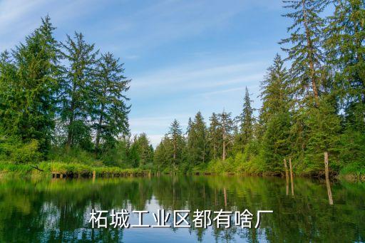柘城工业区都有啥厂
