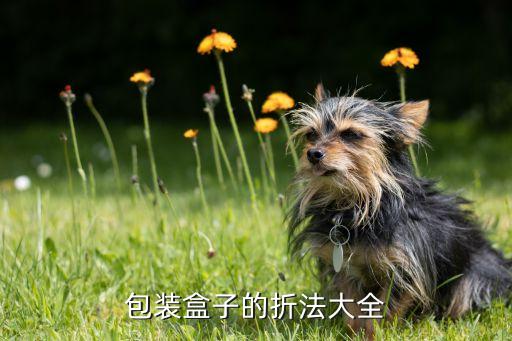 包装盒子的折法大全
