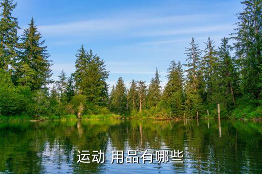 学校用的体育用品,学校的体育用品,室力有三种球