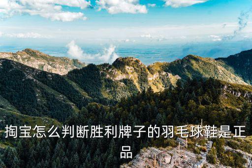 掏宝怎么判断胜利牌子的羽毛球鞋是正品