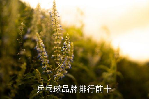 乒乓球品牌排行前十